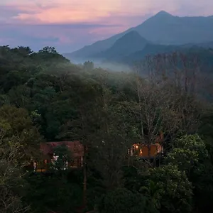 Mist Resort